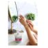 Advanced Clinicals Bulgarian Rose Oil Cream Anti-Aging Rescue for Face, Hands, Neck. Spa Size 16oz - Image 3