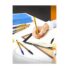 Bic Cristal Fine Ball Pen Set - Pack of 10 (Multicolour) - Image 3