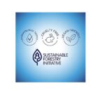 Biore Blackhead eliminating targeted pore strips, t-zone - 5 nose + 5 face + 5 chin - Image 5