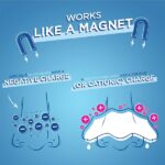 Biore Deep Cleansing Pore Strips Combo Pack, 14 strips - Image 3