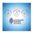 Biore Original, Deep Cleansing Pore Strips, 14 Nose Strips for Blackhead Removal, with Instant Pore Unclogging, features C-Bond Technology, Oil-Free, Non-Comedogenic Use - Image 3