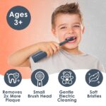 Brusheez® Kids Electric Toothbrush Set (Carnivore Edition) - Battery Operated, Soft Bristles, Easy On/Off, 2 Brush Heads, Animal Cover, Sand Timer, Rinse Cup, and Base - Ages 3+ (Shadow The Shark) - Image 2