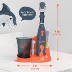 Brusheez® Kids Electric Toothbrush Set (Carnivore Edition) - Battery Operated, Soft Bristles, Easy On/Off, 2 Brush Heads, Animal Cover, Sand Timer, Rinse Cup, and Base - Ages 3+ (Shadow The Shark) - Image 5