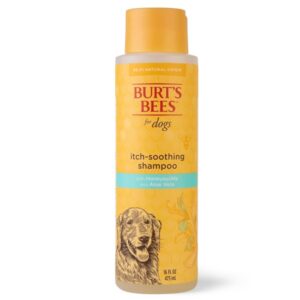 Burts Bee Itch Soothing Shampoo, 16-Ounce - Image 1