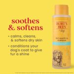 Burts Bee Itch Soothing Shampoo, 16-Ounce - Image 6