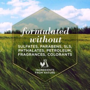 Burts Bee Paw and Nose Lotion, 4-Ounce - Image 8