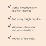 Burt's Bees 100% Natural Conditioning Lip Scrub with Exfoliating Honey Crystals - 0.25 Ounce - Image 4