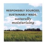 Burt's Bees 100% Natural Moisturizing Lip Balm, Beeswax, 2 Tubes in Blister Box - Image 3