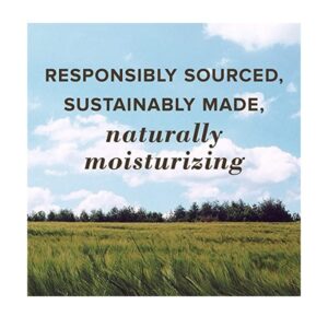 Burt's Bees 100% Natural Moisturizing Lip Balm, Beeswax, 2 Tubes in Blister Box - Image 3