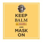 Burt's Bees 100% Natural Moisturizing Lip Balm, Beeswax, 2 Tubes in Blister Box - Image 4