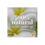 Burt's Bees 100% Natural Moisturizing Lip Balm, Coconut & Pear with Beeswax & Fruit Extracts - 1 Tube - Image 2