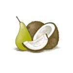 Burt's Bees 100% Natural Moisturizing Lip Balm, Coconut & Pear with Beeswax & Fruit Extracts - 1 Tube - Image 4