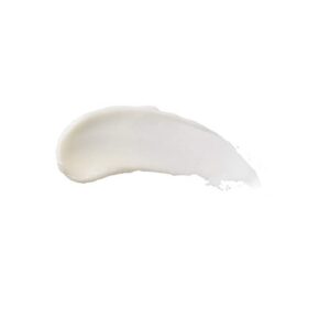 Burt's Bees 100% Natural Moisturizing Lip Balm, Multipack - Original Beeswax, Cucumber Mint, Coconut & Pear and Vanilla Bean with Beeswax & Fruit Extracts - 4 Tubes - Image 4