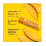 Burt's Bees 100 Natural Moisturizing Lip Balm, Superfruit, 4 Tubes in Blister Box - Image 2