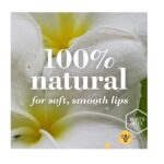 Burt's Bees 100 Natural Moisturizing Lip Balm, Wild Cherry and Vanilla Bean - 2 Tubes - Image 3
