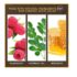 Burt's Bees 100 Natural Moisturizing Lipstick Juniper Water 1 Tube - Image 3