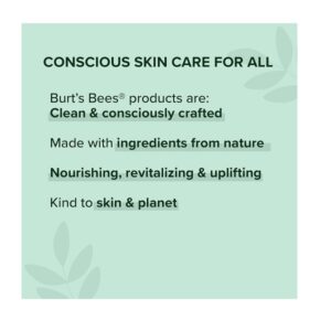 Burt's Bees 100 Natural Moisturizing Lipstick Juniper Water 1 Tube - Image 6