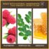 Burt's Bees 100% Natural Moisturizing Lipstick, Nile Nude, 1 Tube - Image 3