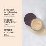 Burt's Bees 100% Natural Overnight Intensive Lip Treatment, Ultra-Conditioning Lip Care, 0.25 ounce - Image 6