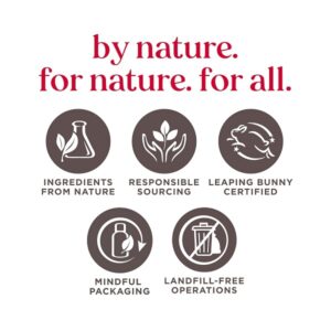 Burt's Bees 100% Natural Overnight Intensive Lip Treatment, Ultra-Conditioning Lip Care, 0.25 ounce - Image 8