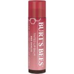 Burt's Bees 100% Natural Red Dahlia with Shea Butter and Botanical Waxes Tinted Lip Balm, 2 Tubes (1070) - Image 13