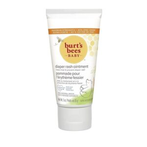 Burt's Bees Baby Bee 100% Natural Diaper Rash Ointment, 3 Ounces - Image 1