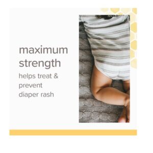 Burt's Bees Baby Bee 100 Natural Diaper Rash Ointment, 6 Ounces Total - Image 2
