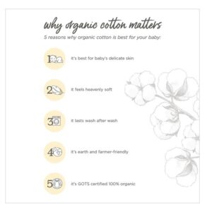 Burt's Bees Baby - Hooded Towels, Absorbent Knit Terry, Super Soft Single-Ply, 100% Organic Cotton 2 Pack), A-Bee-C, 2 Pack - Image 4