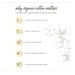 Burt's Bees Baby Unisex Baby, 6-pack Ankle Socks With Non-slip Grips, Made With Organic Cotton - Image 4