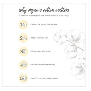 Burt's Bees Baby Unisex Baby, 6-pack Ankle Socks With Non-slip Grips, Made With Organic Cotton - Image 4