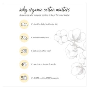 Burt's Bees Baby - Washcloths, Absorbent Knit Terry, Super Soft 100% Organic Cotton (A-Bee-C, 3-Pack) - Image 2