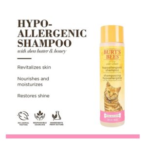 Burt's Bees Burt S Bees for Cats Hypoallergenic Shampoo with Shea Butter and Honey, 10 Ounces - Image 3