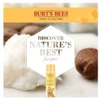 Burt's Bees Burt S Bees for Cats Hypoallergenic Shampoo with Shea Butter and Honey, 10 Ounces - Image 4