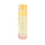 Burt's Bees Burt S Bees for Cats Hypoallergenic Shampoo with Shea Butter and Honey, 10 Ounces - Image 6