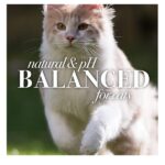 Burt's Bees Burt S Bees for Cats Hypoallergenic Shampoo with Shea Butter and Honey, 10 Ounces - Image 7