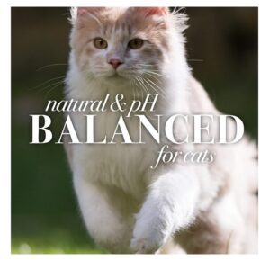 Burt's Bees Burt S Bees for Cats Hypoallergenic Shampoo with Shea Butter and Honey, 10 Ounces - Image 7