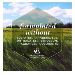 Burt's Bees Burt S Bees for Cats Hypoallergenic Shampoo with Shea Butter and Honey, 10 Ounces - Image 8