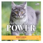 Burt's Bees Burt S Bees for Cats Hypoallergenic Shampoo with Shea Butter and Honey, 10 Ounces - Image 9