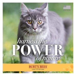 Burt's Bees Burt S Bees for Cats Hypoallergenic Shampoo with Shea Butter and Honey, 10 Ounces - Image 9