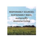 Burt's Bees Coconut & Pear and Mango with Beeswax & Fruit Extracts - Two Balms 4.25 g each - Image 6