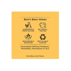 Burt's Bees Coconut & Pear and Mango with Beeswax & Fruit Extracts - Two Balms 4.25 g each - Image 7