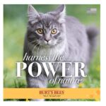 Burts Bees Dander Reducing Cat Wipes Size:Pack of 2 - Image 5