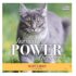 Burts Bees Dander Reducing Cat Wipes Size:Pack of 2 - Image 5