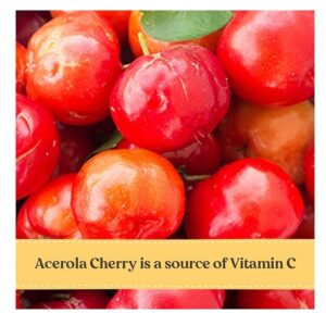 Burt's Bees Kids Gummy Orange Flavor, 50 Count - Image 3