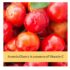 Burt's Bees Kids Gummy Orange Flavor, 50 Count - Image 3