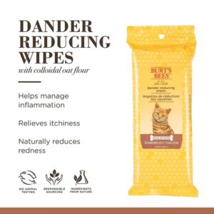 Burt's Bees Kitten and Cat Wipes For Grooming, Natural Dander Reducing Wipes, 50 Count - Image 2