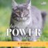 Burt's Bees Kitten and Cat Wipes For Grooming, Natural Dander Reducing Wipes, 50 Count - Image 6