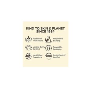 Burt's Bees Lip Balm, Beeswax, 0.15 oz - Image 4