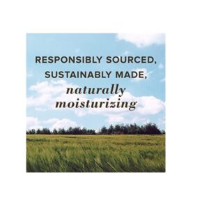 Burt's Bees Lip Balm, Beeswax, 4 Count, 0.15 Oz - Image 3