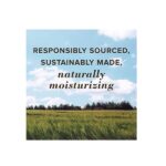 Burt's Bees Lip Balm, Beeswax, 4 Count, 0.15 Oz - Image 6